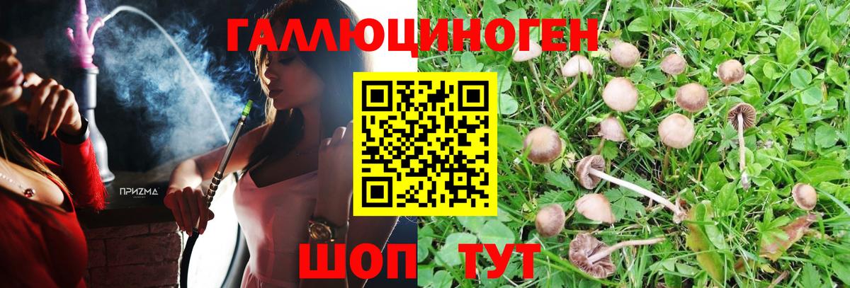 Павловский Посад  Псилоцибиновые грибы Magic Shrooms  Псилоцибиновые грибы Magic Shrooms  Вход с VPN 